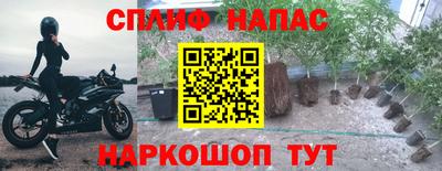ГАЛЛЮЦИНОГЕННЫЕ ГРИБЫ Краснознаменск