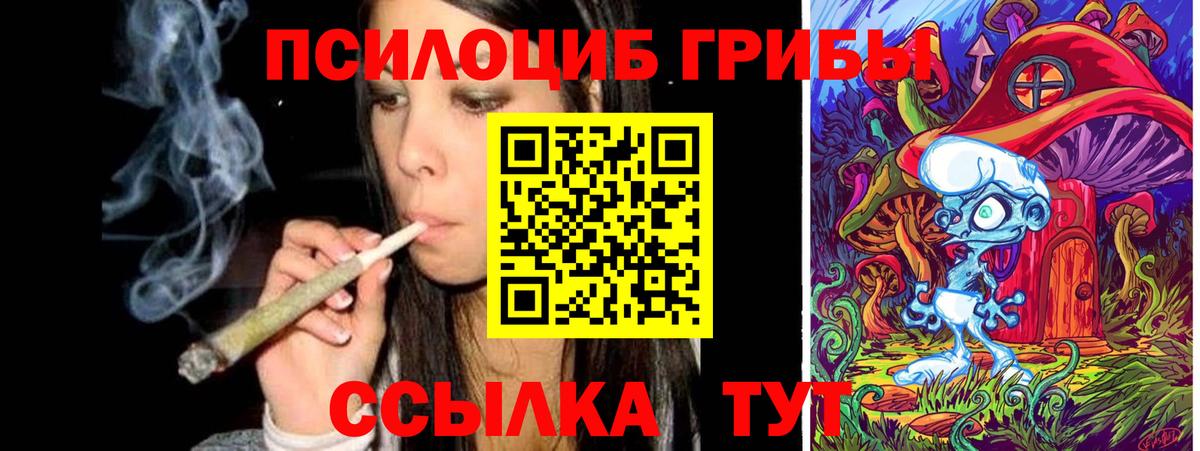 Галлюциногенные грибы Magic Shrooms  Вход с VPN  Клинцы  Псилоцибиновые грибы мицелий 