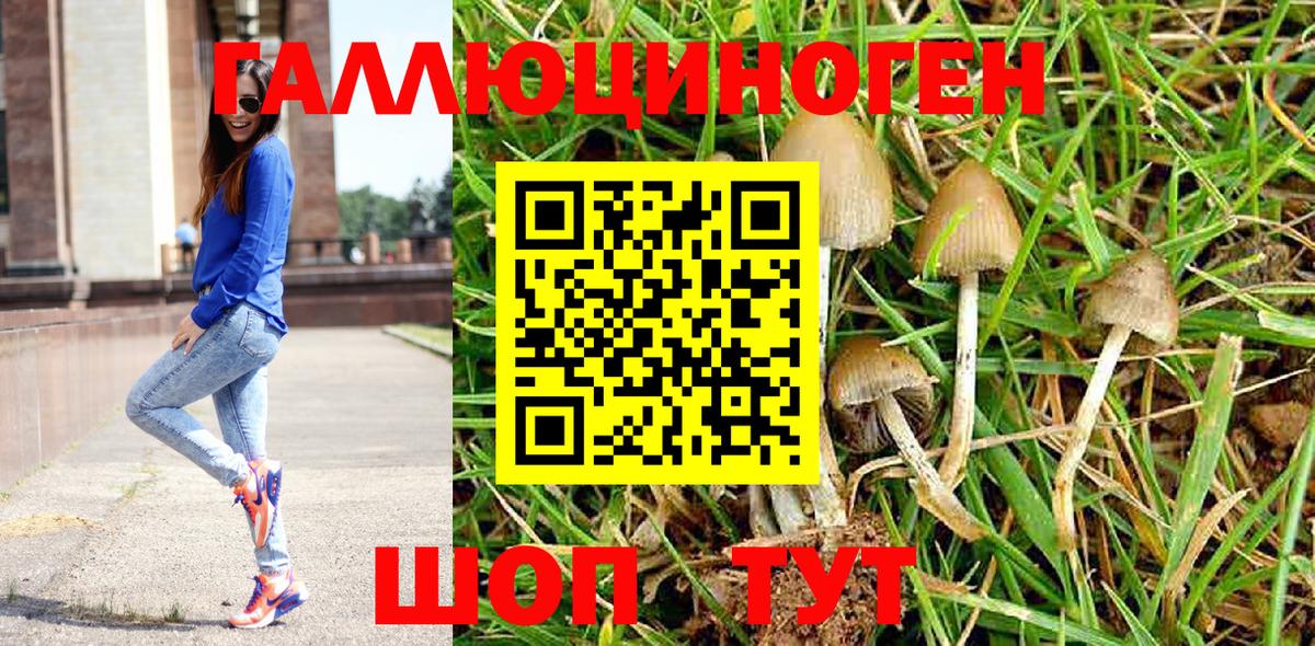 Галлюциногенные грибы прущие грибы Клинцы